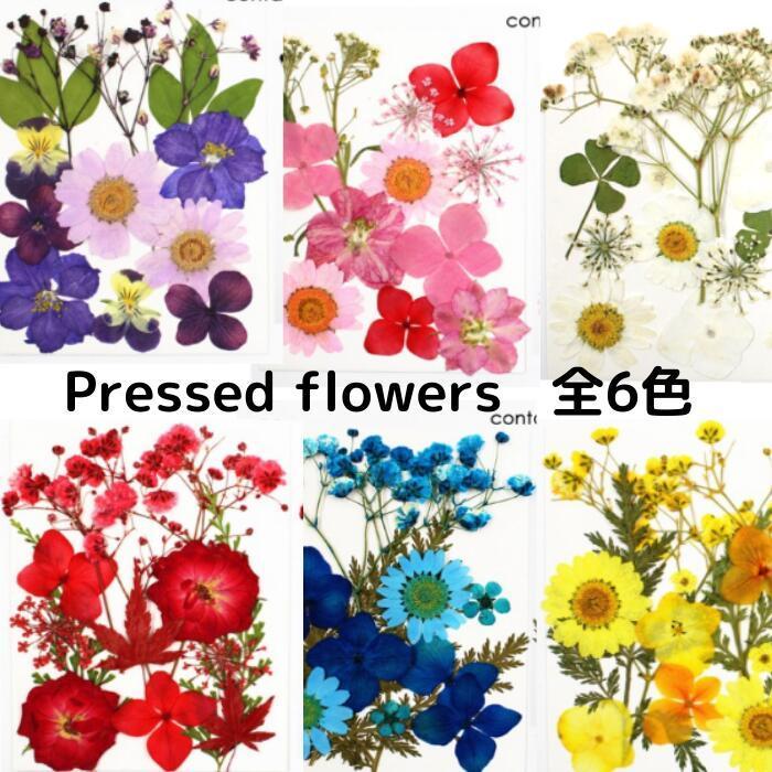 ドライフラワー 花材 詰合わせ レジン ハーバリウム 押し花 プレスドフラワー アロマワックス サシェ カスミソウ ブーケ 花束 加工用 あじさい Sh Dr010 Craftラボ美ryoku 通販 Yahoo ショッピング