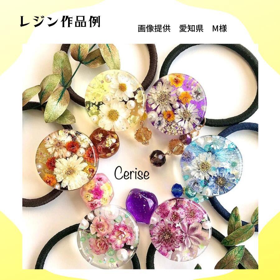 小花詰合せ 12個 ドライフラワー 花材 レジン 業務用 福袋