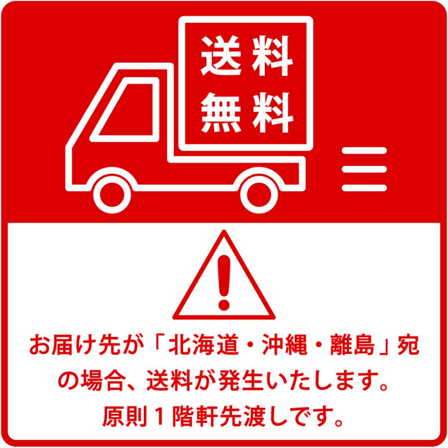 ベルトパーテーション 2本セット ステンレス 固定置型 幅32cm 奥行32cm 高さ89cm レッド 業務用 行列仕切り BPF2-890-RD_6
