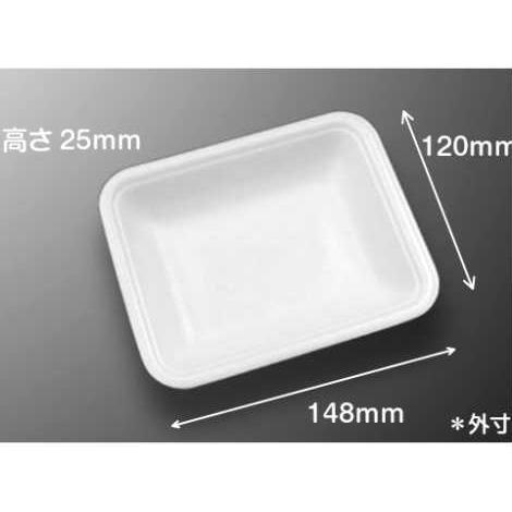 トレーＣＮ１５-１２Ｅ | 中央化学 | 01