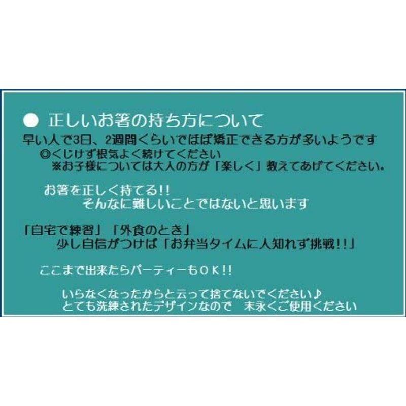 トップ 矯正箸 正しいお箸の持ち方 右手 利き手 15cm しつけ箸 漆塗り 子供 幼児用 Www Ampselectric Com