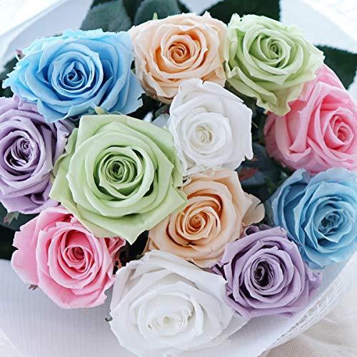期間限定特価 プリザーブドフラワーの花束ダーズンローズ ダズンローズ プリザーブドフラワー ダーズンフラワー 選択する 超特価激安 Www Thedailyspud Com