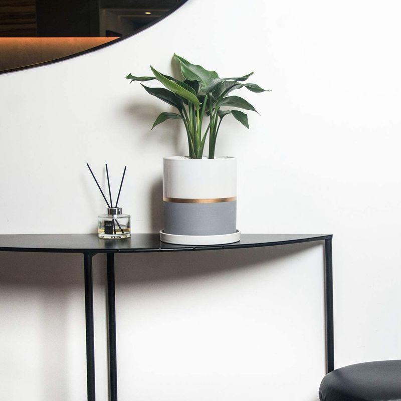 激安大特価 Ekirlin 陶器鉢 観葉植物 インテリア 通気性 耐用 円柱 プランター 鉢 穴あり 皿付き 大型 18 6cm 8号 おしゃれ 植木鉢 植木鉢