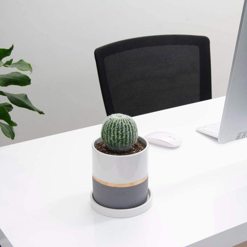 激安大特価 Ekirlin 陶器鉢 観葉植物 インテリア 通気性 耐用 円柱 プランター 鉢 穴あり 皿付き 大型 18 6cm 8号 おしゃれ 植木鉢 植木鉢