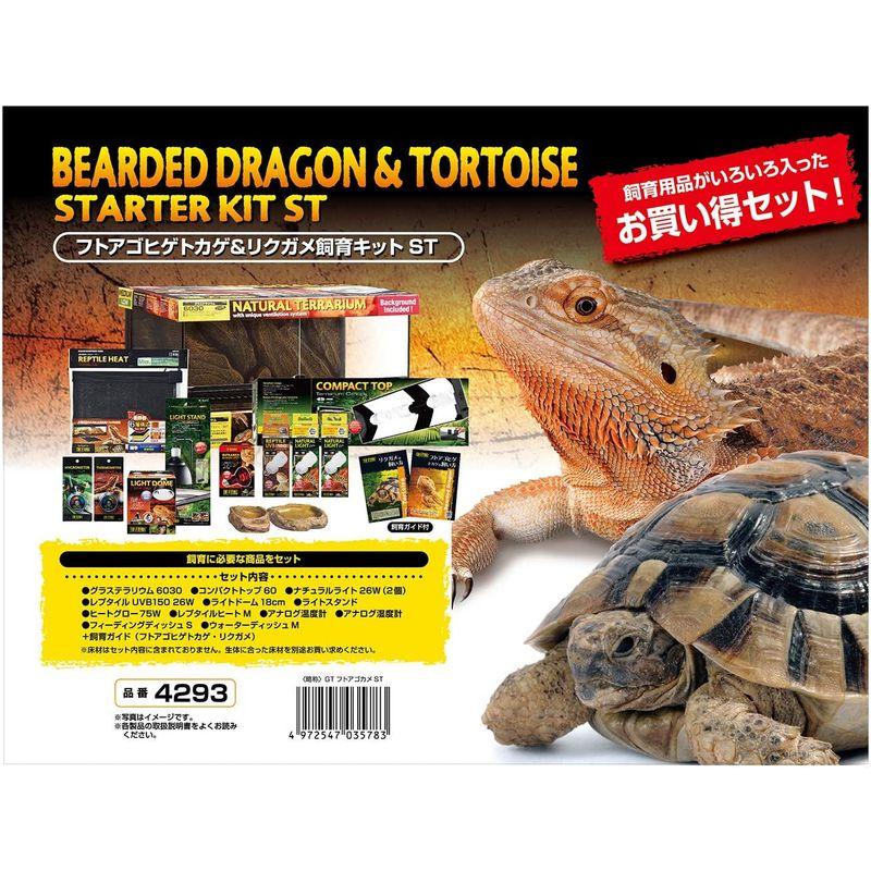 GEX EXOTERRA フトアゴヒゲトカゲ&リクガメ飼育キット 爬虫類用ガラス