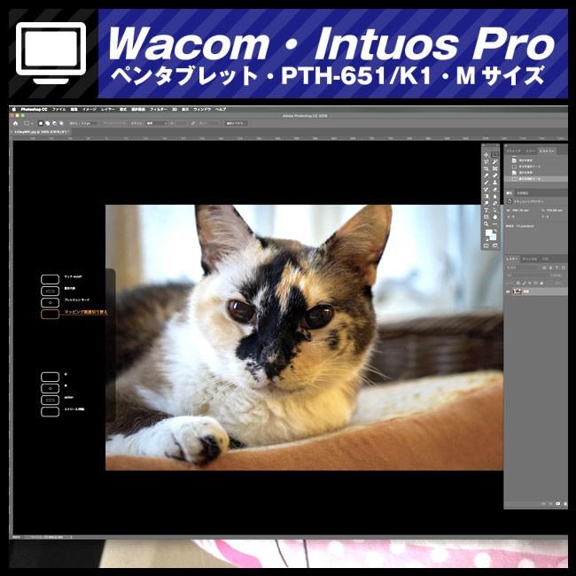 wacom ☆Wacom Intuos Pro PTH-651/K1・Mサイズ・ペンタブレット