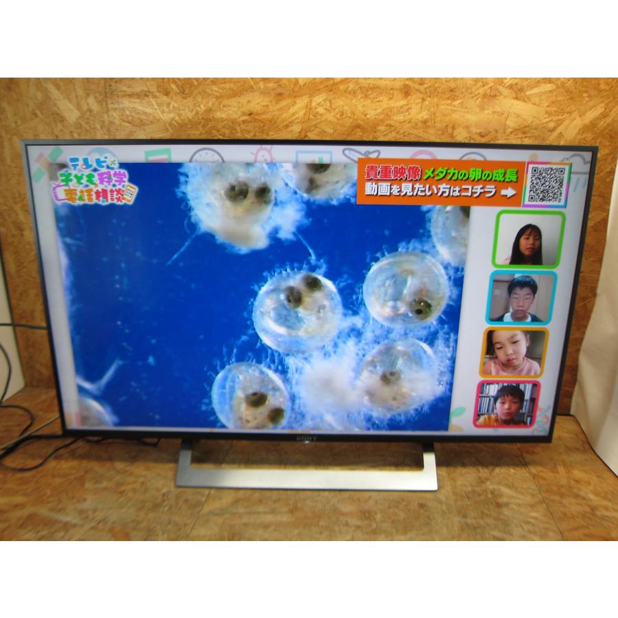 SONY ◎SONY BRAVIA KJ-43X8300D 地上・BS・110度CS 4K対応液晶 SONY ◎SONY BRAVIA KJ-43X8300D 地上・BS・110度CS 4K対応液晶