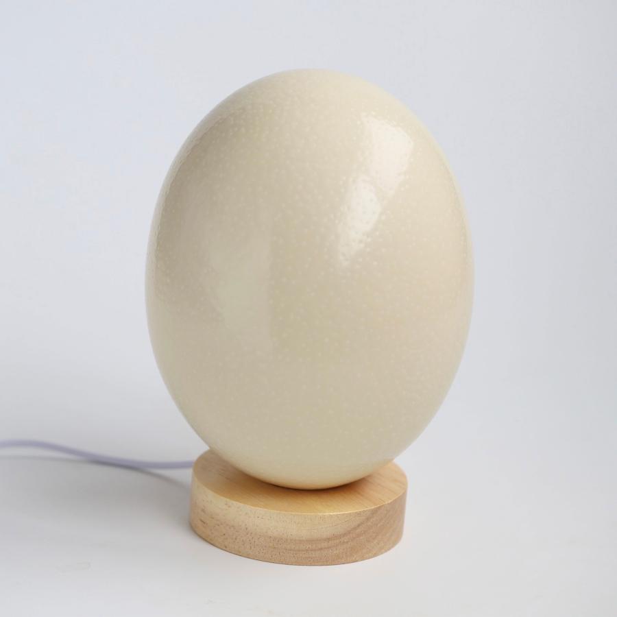 卵殻灯（らんかくとう） 異世界の怪鳥の卵を模した一点物の間接照明 国産 オーストリッチエッグランプ インテリア 照明 常夜灯 寝室 ランプ