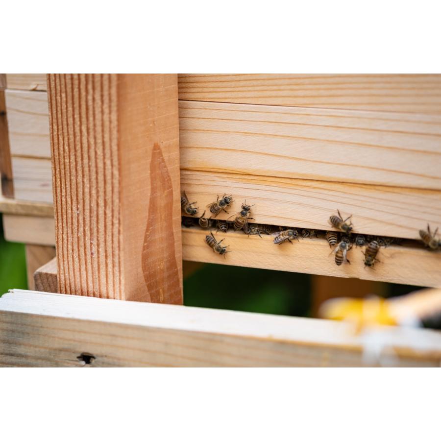 日本蜜蜂ハチミツ百花 150g｜misatomitsubachifarm｜02