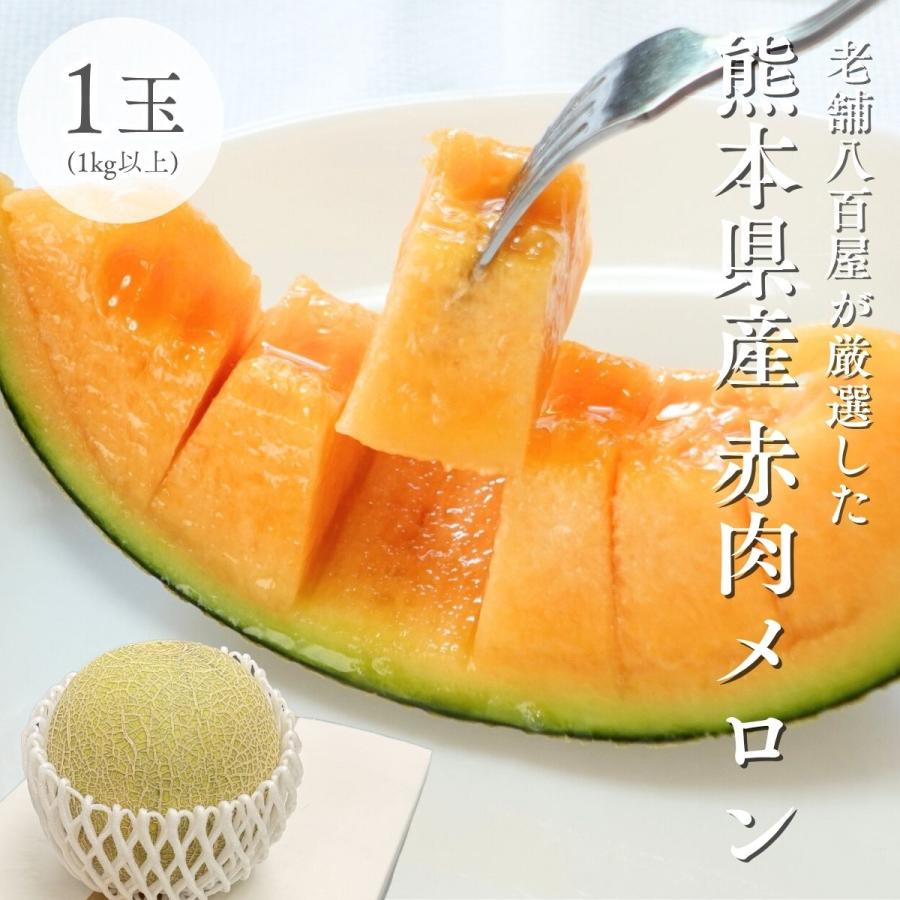 赤肉メロン 1玉 1kg以上 大玉 訳あり 熊本県産 めろん クインシー