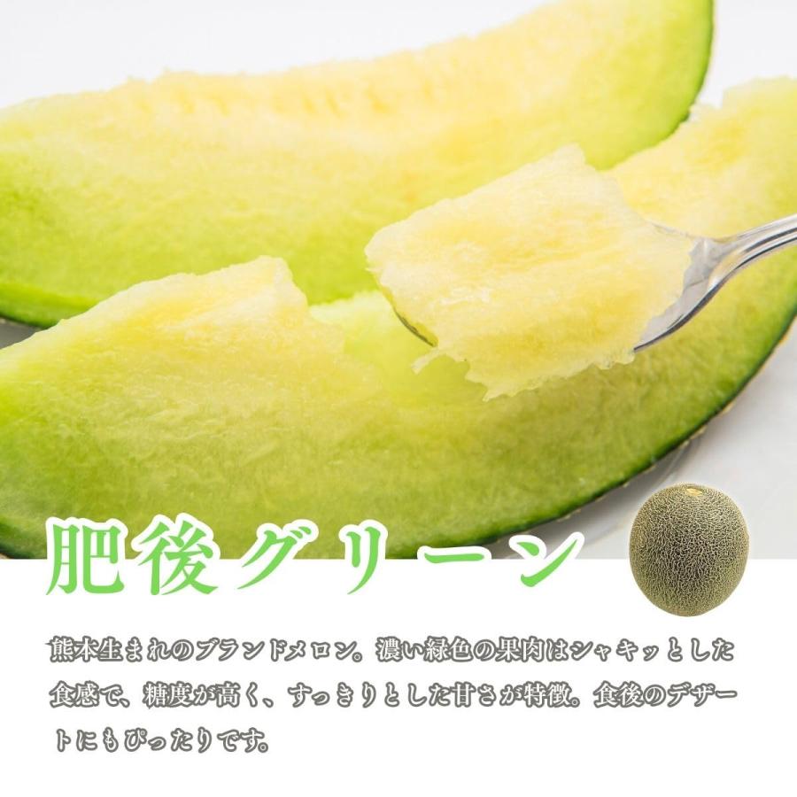 青肉メロン 1玉 1kg以上 大玉 訳あり 熊本県産 めろん アンデスメロン