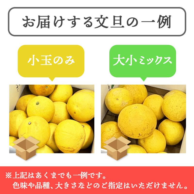 さらにお買い得♪高知特産訳あり土佐文旦　40〜60玉入り　サイズおまかせ約20㎏ 文旦 訳あり 土佐文旦 10kg 20〜30玉前後 ぶんたん ブンタン 高知県産