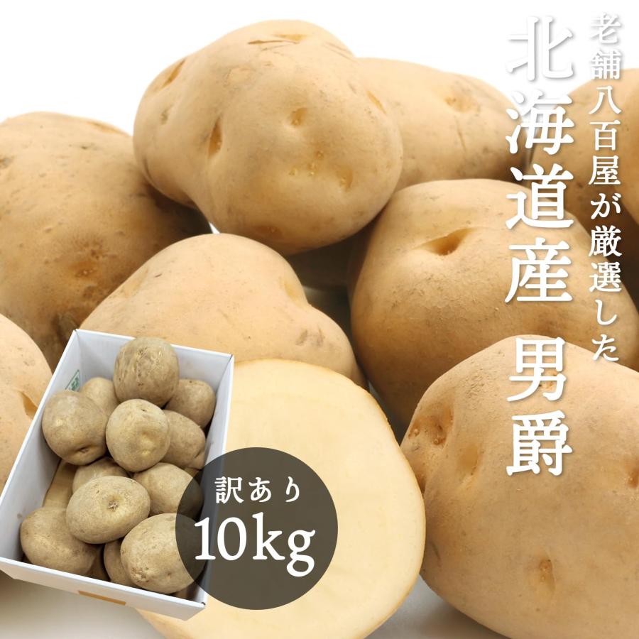 デストロイヤ馬鈴薯 10kg2箱1括り 十勝 幕別町産 じゃがいも10kg