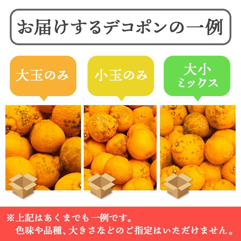 デコポン 訳あり 和歌山産 10kg 国産 でこぽん 不知火 しらぬい 柑橘