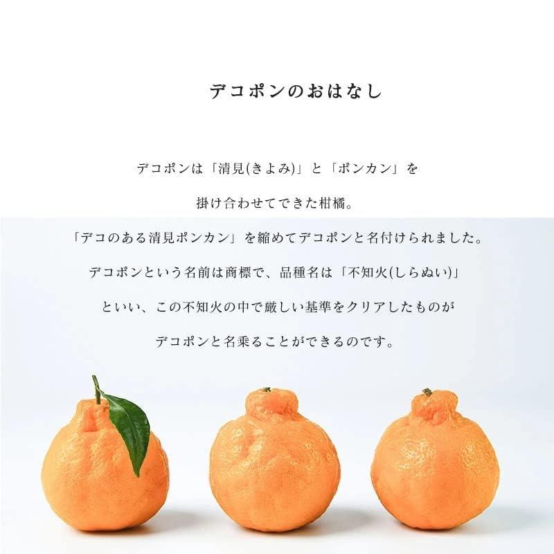 デコポン 訳あり 和歌山産 10kg 国産 でこぽん 不知火 しらぬい 柑橘
