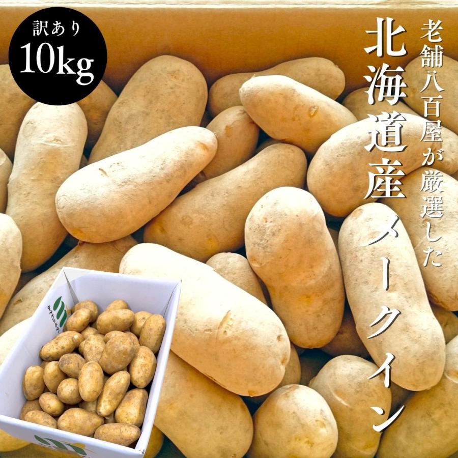 じゃがいも　メークイン　訳あり　11 №5795-0185]北海道産 各約 M～2L メークイン 男爵 じゃがいも 訳あり フラワー・ガーデニング