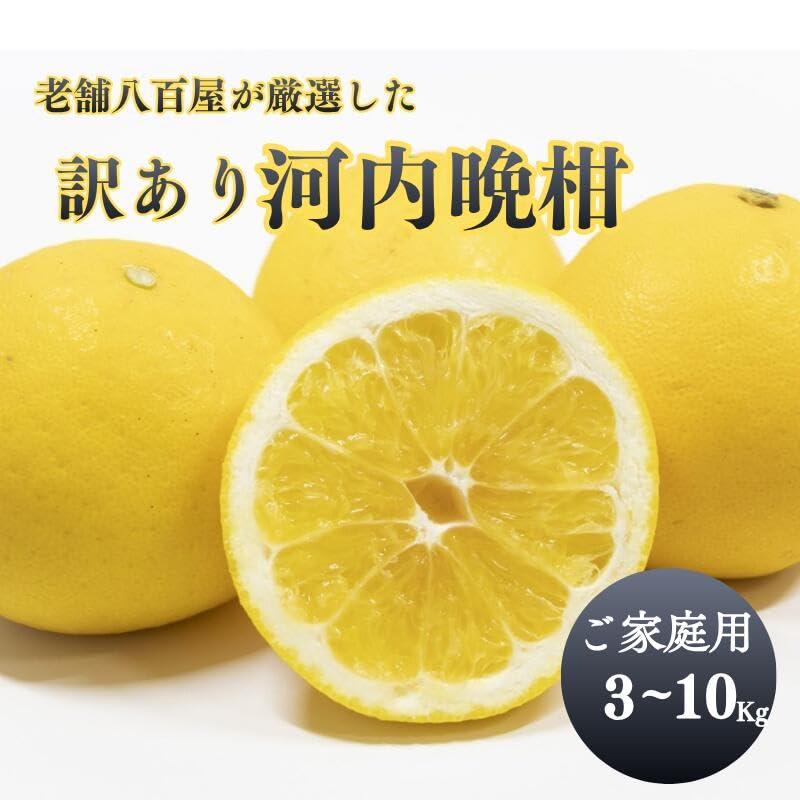 河内晩柑 訳あり 10kg かわちばんかん 晩柑 愛媛県産 ご家庭用 スレ 汚れ 黒点あり（Yahoo!・みさわのやさい）