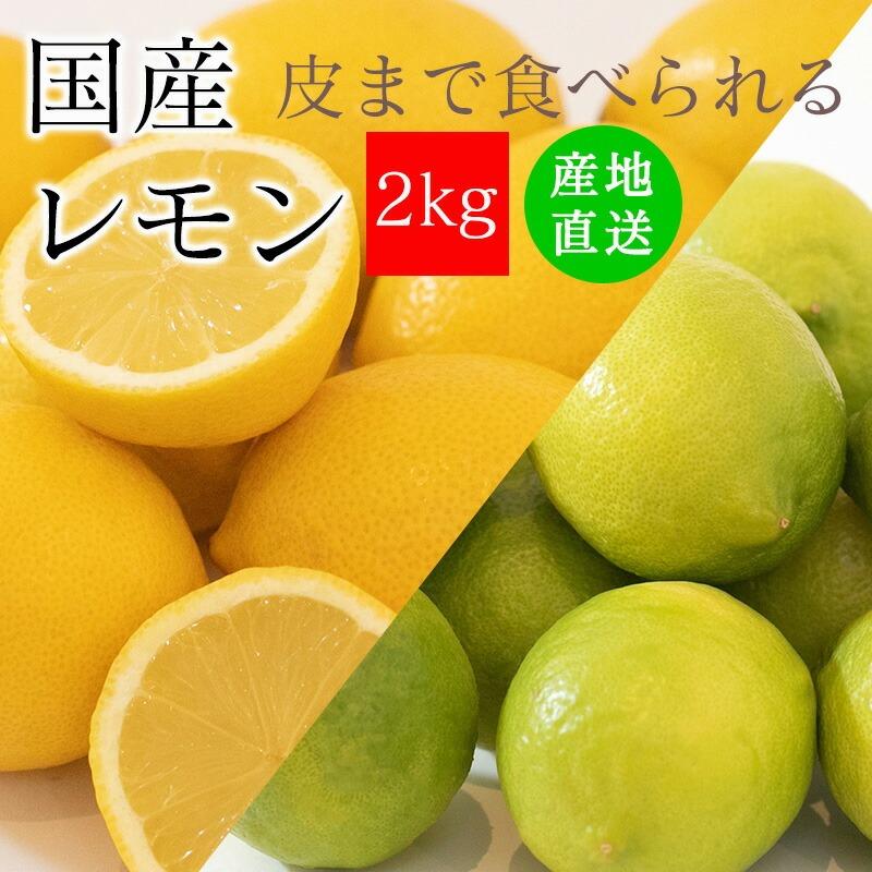 レモン 国産 訳あり 2kg 皮まで食べられるレモン 送料無料 ノーワックス 防腐剤 防カビ剤 不使用 れもん 広島県産 他 不揃い ワックス 不使用 大きさ おまかせ（Yahoo!・みさわのやさい）