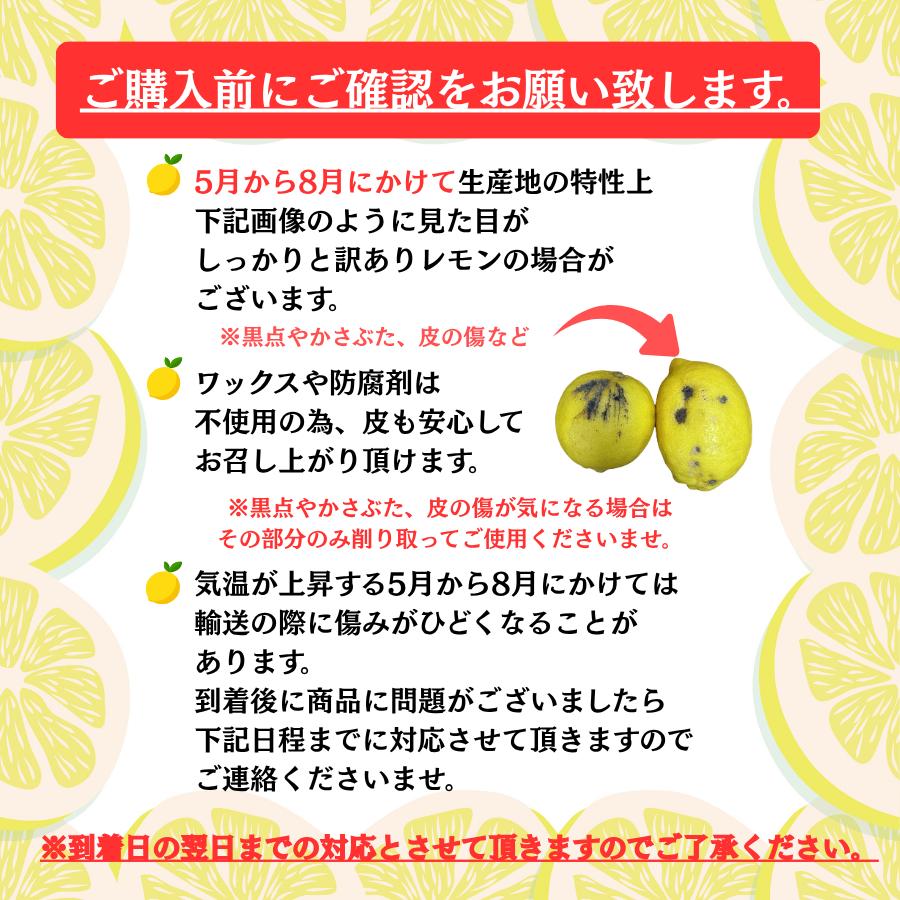 レモン 国産 訳あり 2kg 皮まで食べられるレモン 送料無料 ノー 