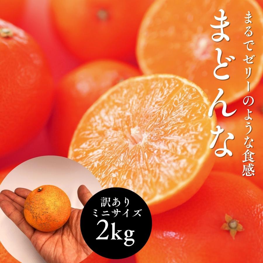まどんな ミニサイズ 2kg 訳あり ご家庭用 サイズ不揃い 愛媛県産 果実