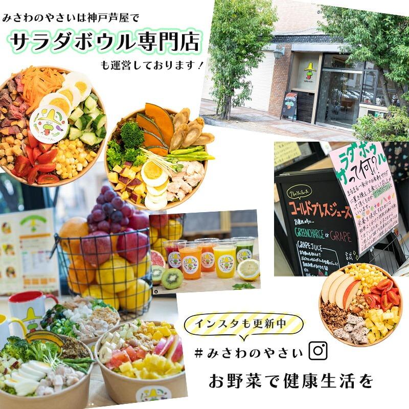 国産 松茸 訳あり 家庭用 100g 長野県 他 マツタケ まつたけ : みさわ