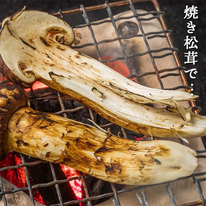 国産 松茸 訳あり 家庭用 100g 長野県 他 マツタケ まつたけ : みさわ