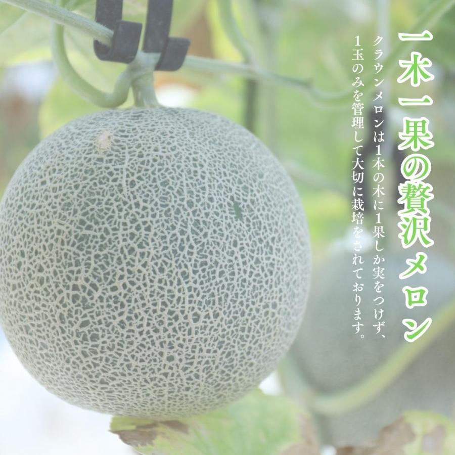 メロン 静岡クラウンメロン 1玉 1.1kg 前後化粧箱入り ギフト 高級