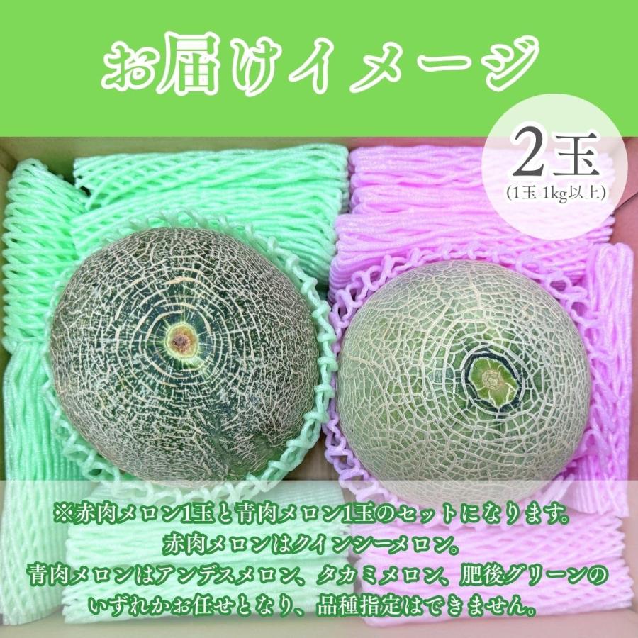 メロン 赤肉 青肉 メロンセット 2玉 1玉1kg以上 大玉 訳あり 熊本県産