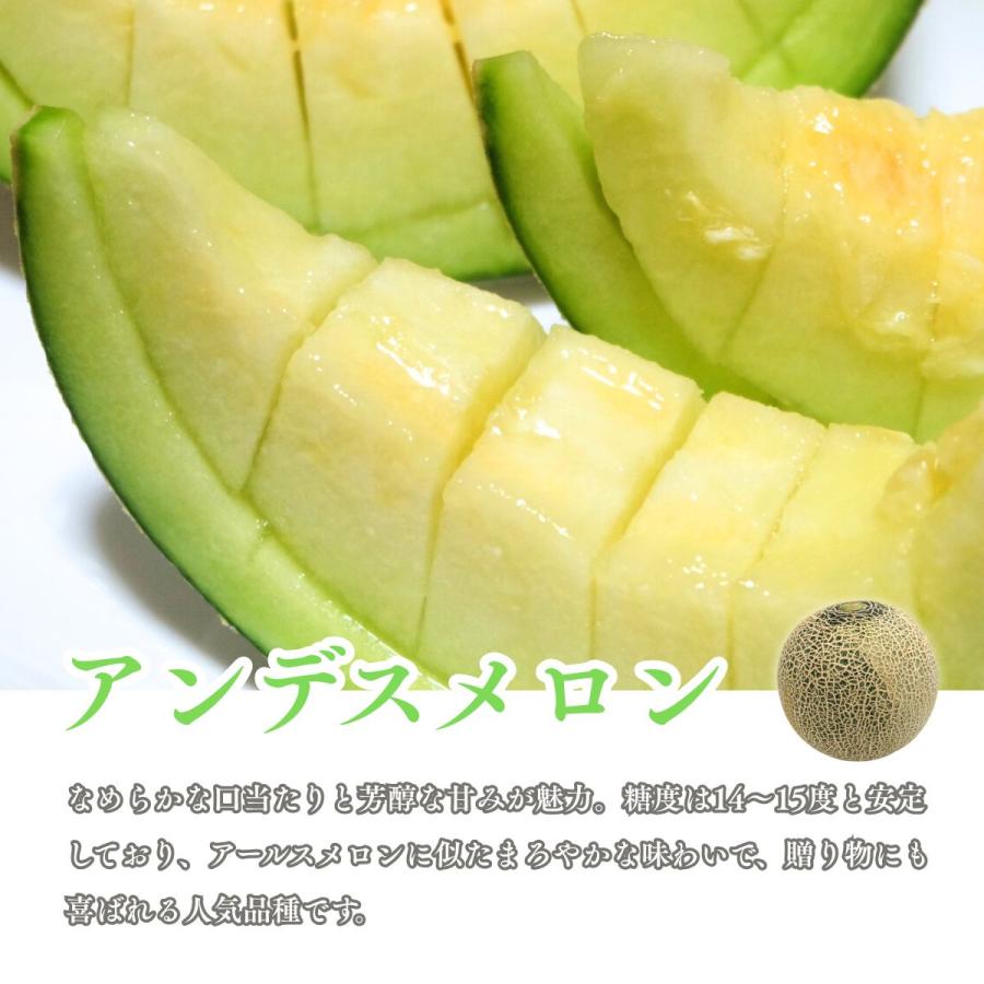 メロン 赤肉 青肉 メロンセット 2玉 1玉1kg以上 大玉 訳あり 熊本県産