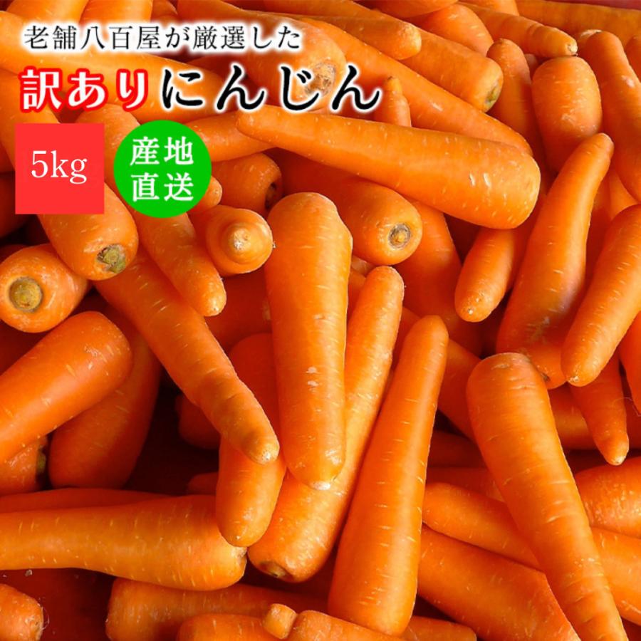 人参 にんじん 5kg 訳あり 送料無料 クール便 ニンジン 5キロ 北海道産 長崎産 千葉産 国産 にんじんジュース キャロット 不揃い（Yahoo!・みさわのやさい）