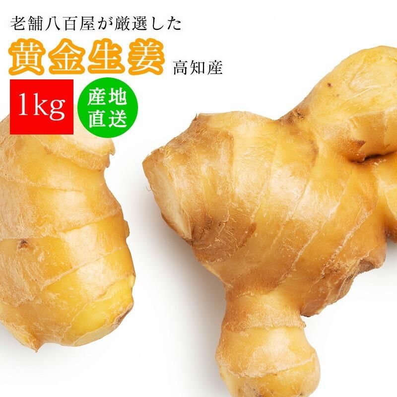 黄金生姜 1kg 国産 生姜 黄金しょうが 高知県産 美味しい しょうが ショウガ 新鮮 業務用 大容量 お徳用 送料無料 国産（Yahoo!・みさわのやさい）