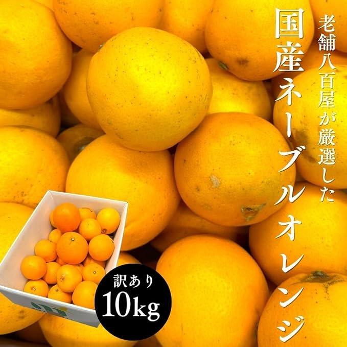 ネーブル オレンジ 国産 訳あり 広島県産 10kg 不揃い ヤケ傷あり : み