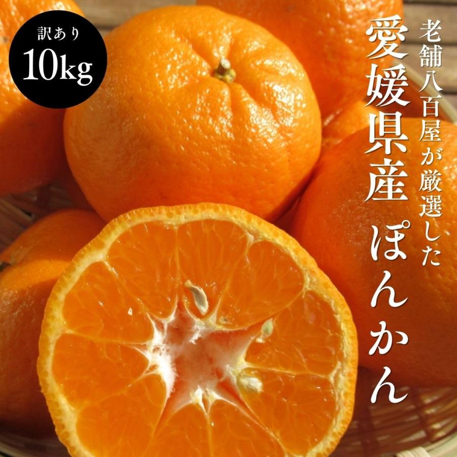 ぽんかん 訳あり 10kg 愛媛県産 国産 ポンカン 甘い みかん : みさわの