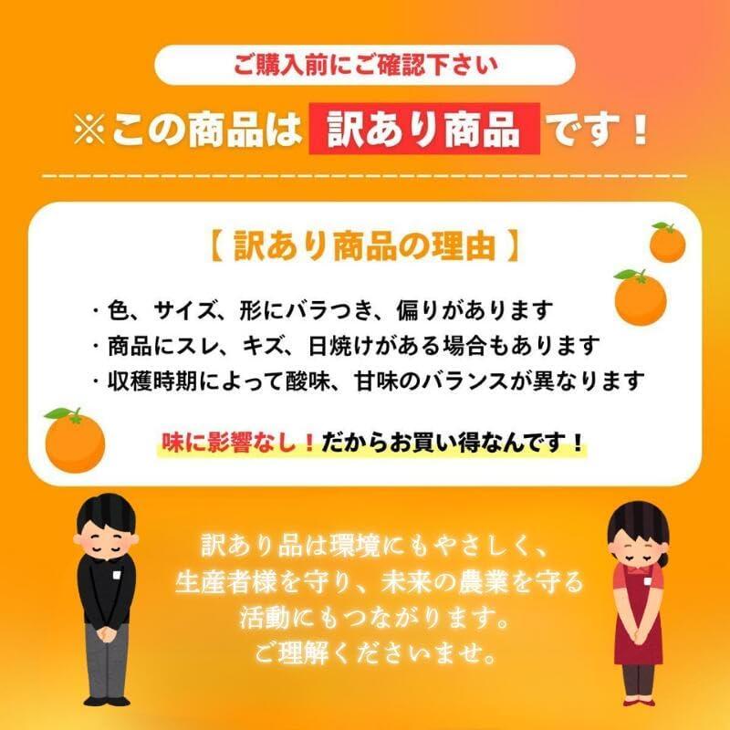ぽんかん 訳あり 10kg 愛媛県産 国産 ポンカン 甘い みかん : みさわの