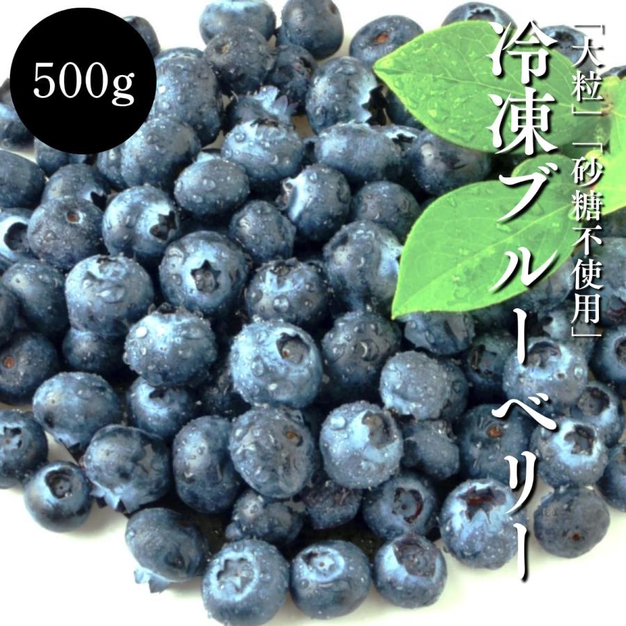 ブルーベリー 冷凍 500g 大粒 カナダ産 砂糖不使用 そのまま食べられる