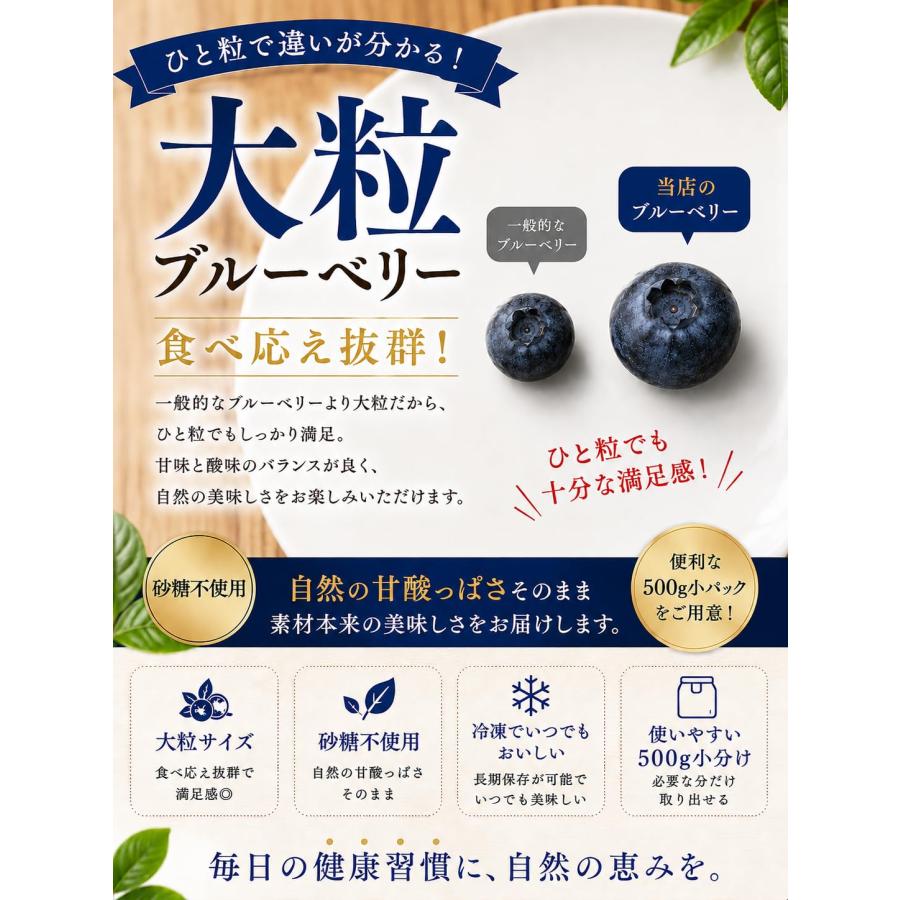 ブルーベリー 冷凍 500g 大粒 カナダ産 砂糖不使用 そのまま食べられる