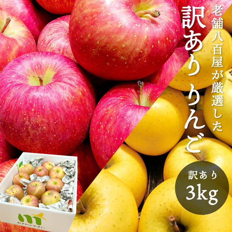 りんご 訳あり 光センサー選別品 ご家庭用 キズあり 3kg 長野県産