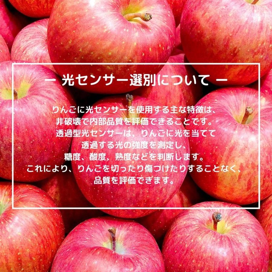 りんご 特選 糖度13.5度以上 ギフト 化粧箱 ふじ 光センサー選別品 約