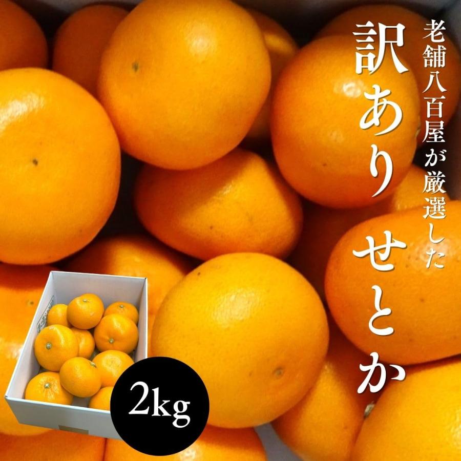 せとか 訳あり 愛媛県産 2kg サイズお任せ Mサイズ多め みかん 柑橘 家庭用（Yahoo!・みさわのやさい）