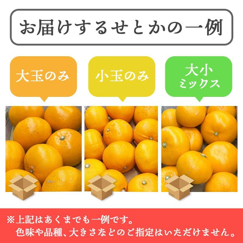 せとか 訳あり 愛媛県産 5kg サイズお任せ Mサイズ多め みかん 柑橘