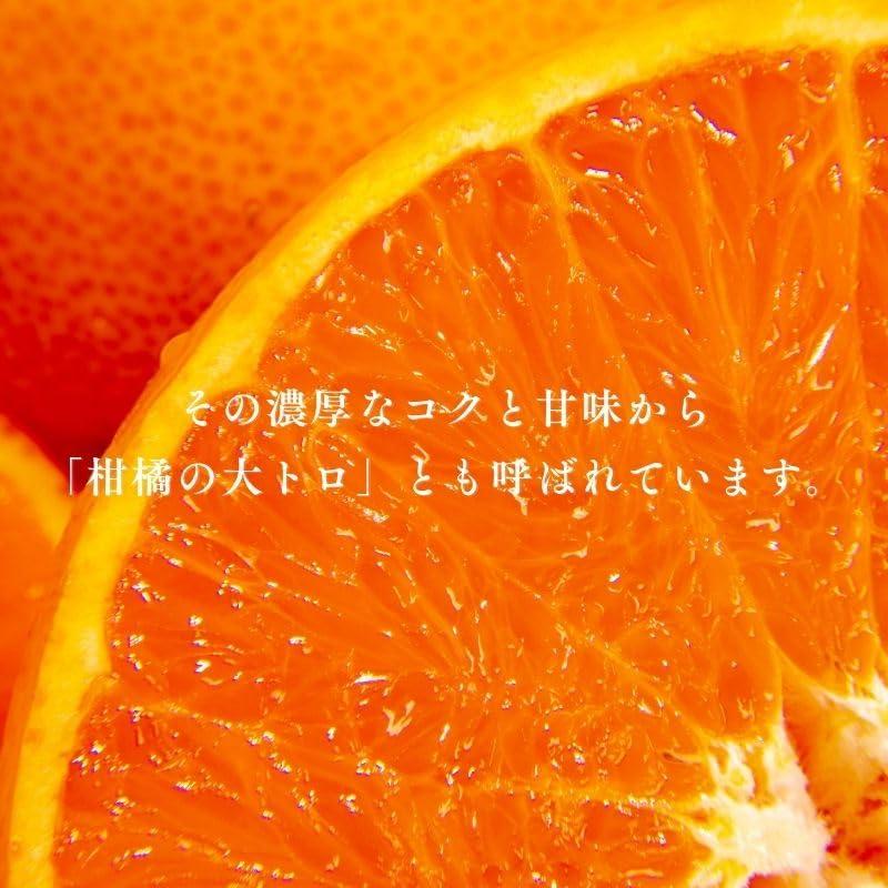 せとか 訳あり 愛媛県産 5kg サイズお任せ Mサイズ多め みかん 柑橘