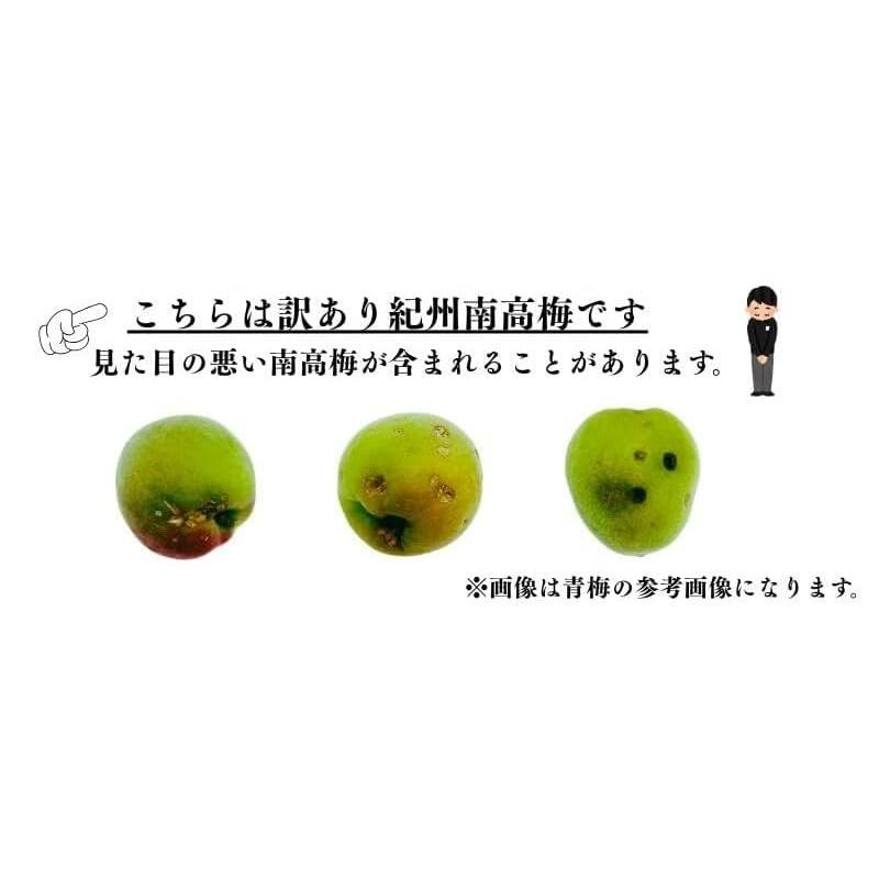 南高梅 生梅 小梅 青、黄色混ざり 訳あり Sサイズ おまかせ 和歌山県