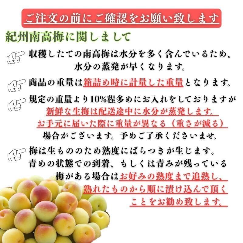 南高梅 生梅 小梅 青、黄色混ざり 訳あり Sサイズ おまかせ 和歌山県