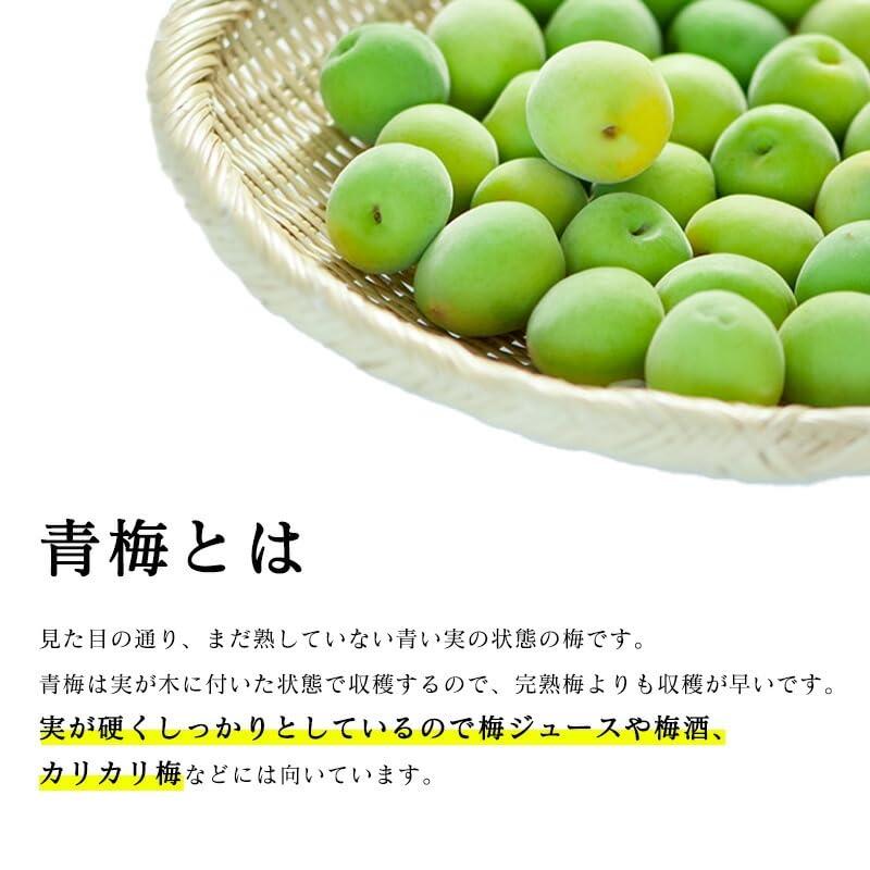 南高梅 生梅 完熟梅 青梅 訳あり サイズ混合 M~3L おまかせ 和歌山県