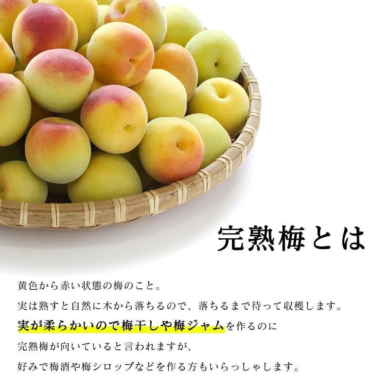 南高梅 生梅 完熟梅 青梅 訳あり サイズ混合 M~3L おまかせ 和歌山県