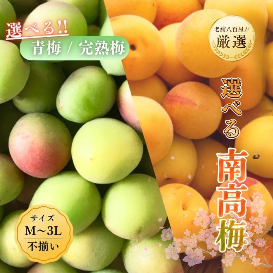 南高梅 生梅 完熟梅 青梅 訳あり サイズ混合 M~3L おまかせ 和歌山県