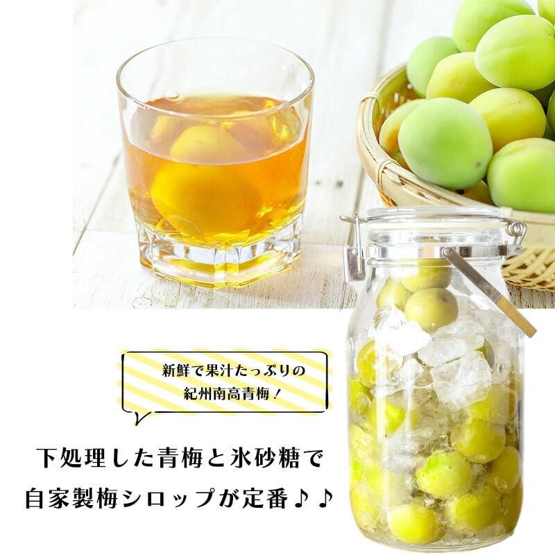 南高梅 生梅 完熟梅 青梅 訳あり サイズ混合 M~3L おまかせ 和歌山県