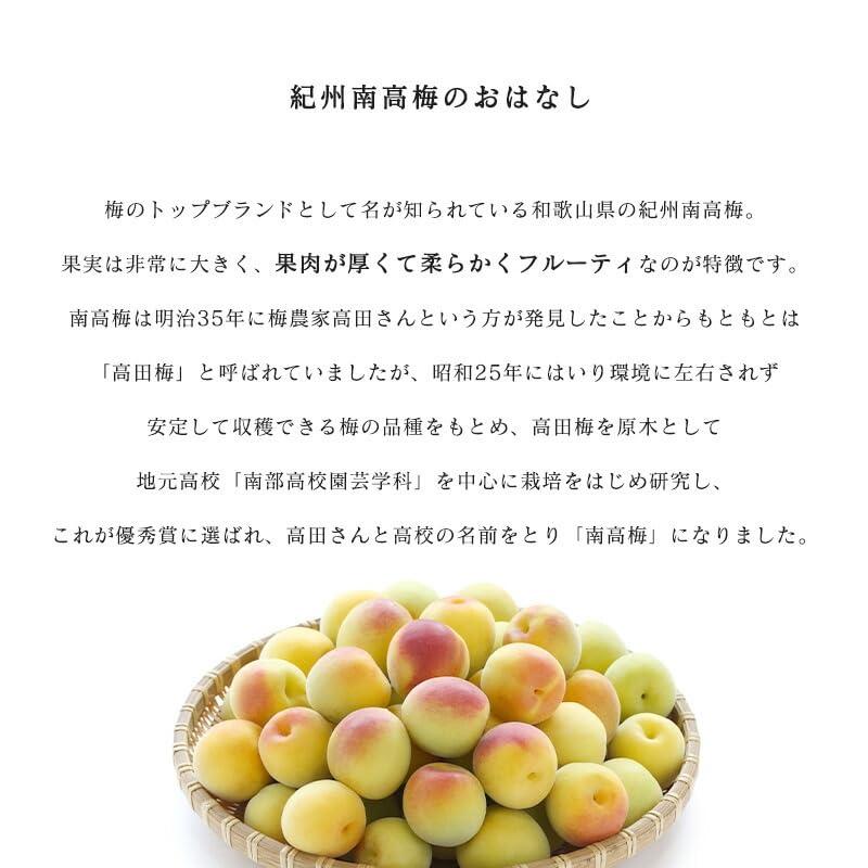南高梅 生梅 完熟梅 青梅 訳あり サイズ混合 M~3L おまかせ 和歌山県