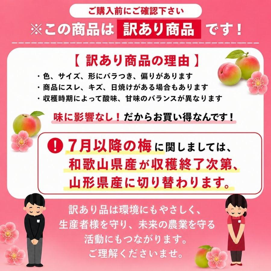 南高梅 生梅 完熟梅 青梅 訳あり サイズ混合 M~3L おまかせ 和歌山県