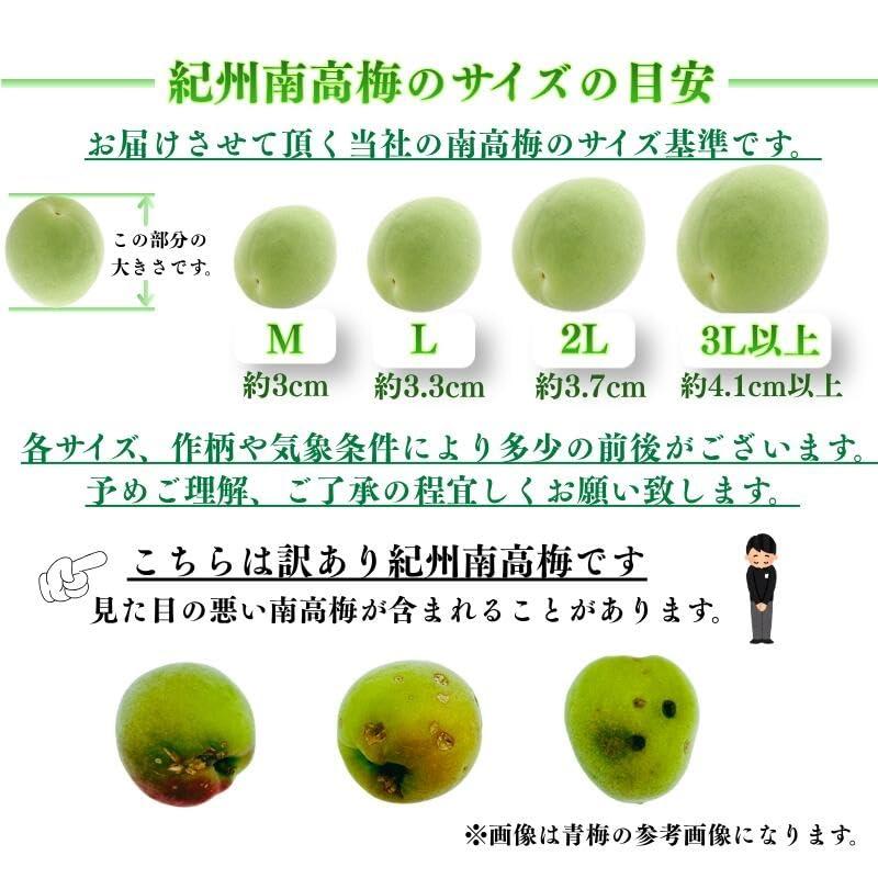 南高梅 生梅 完熟梅 青梅 訳あり サイズ混合 M~3L おまかせ 和歌山県